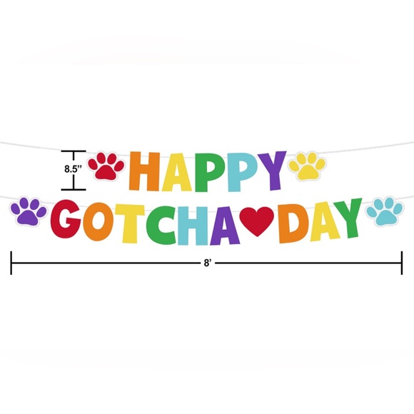 Way to Celebrate Happy Gotcha Day Banner 8.5" x 96" Multicolor - Picture 2 of 5